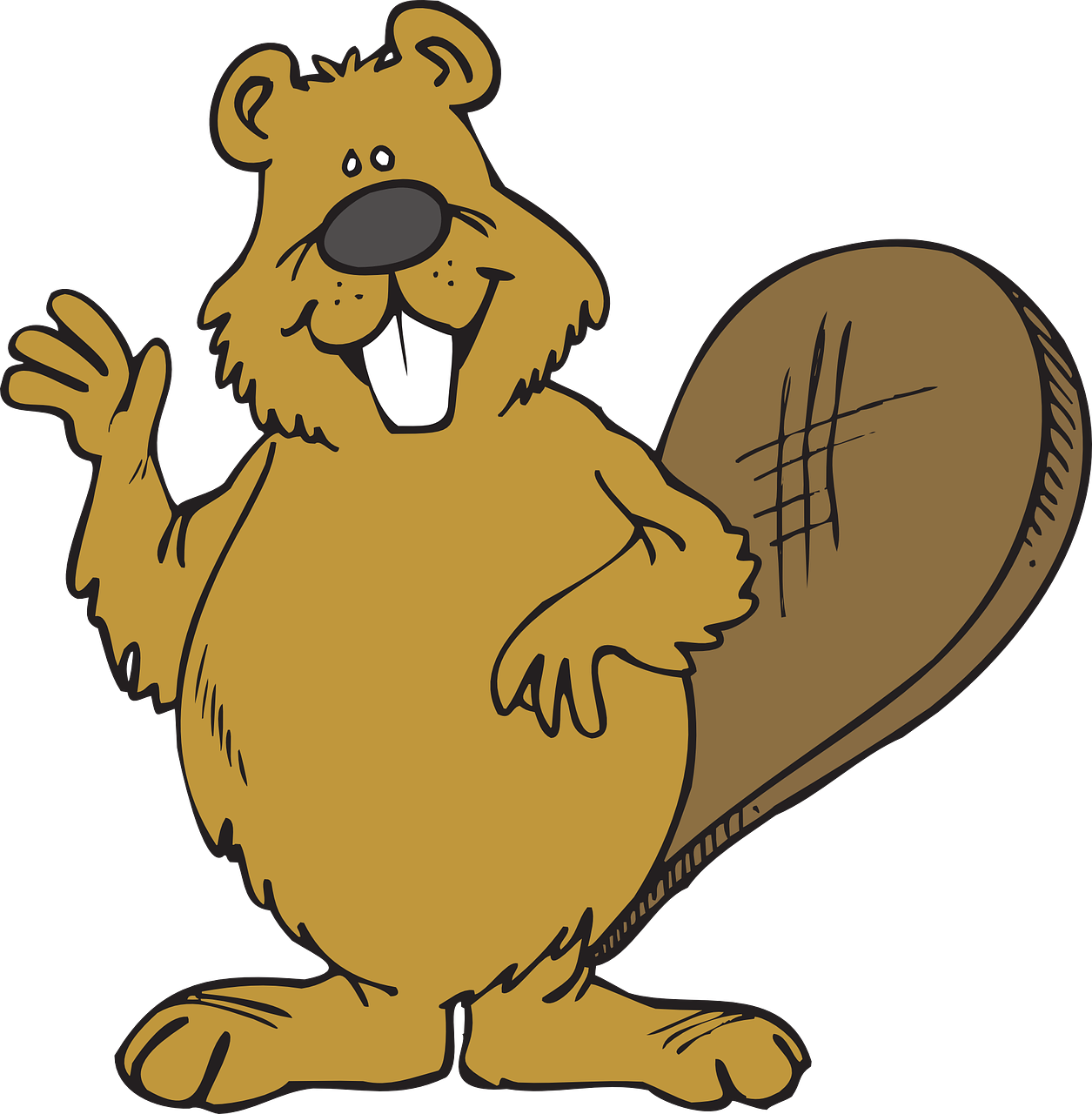 beaver-46221_1280.GenV1