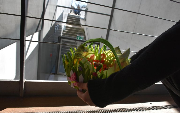 Schnuppernachmittag - Gallery