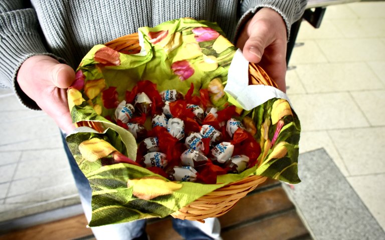 Schnuppernachmittag - Gallery