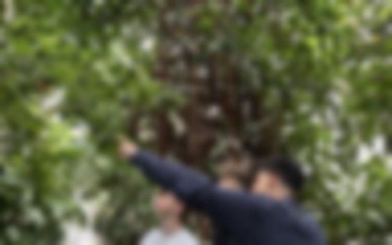 Botanischer Garten Text mit Bilder intern