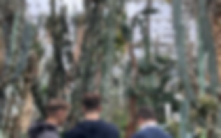 Botanischer Garten Text mit Bilder intern