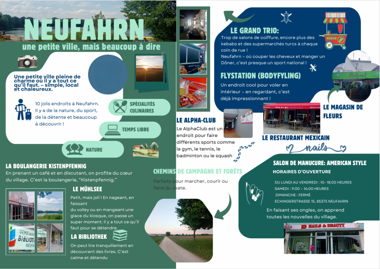 Schüleraustausch-Projekt Flyer1