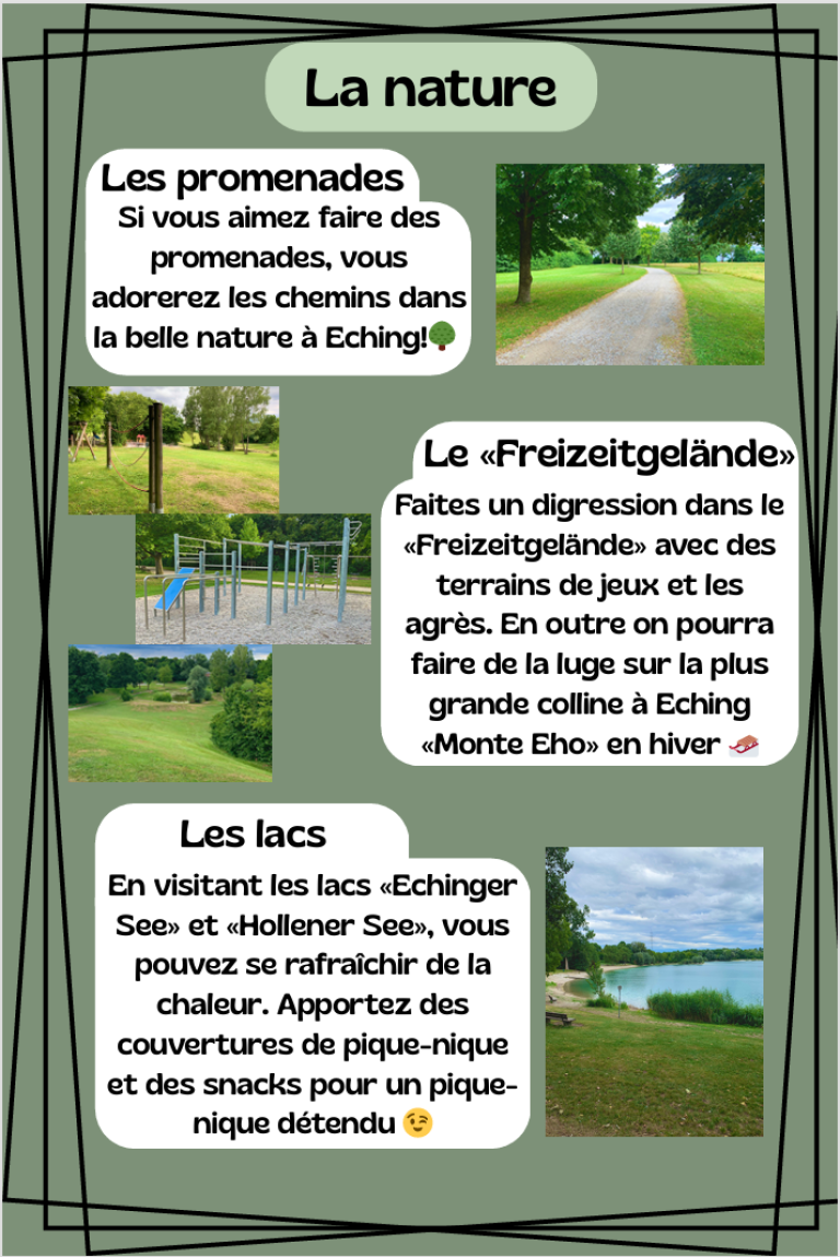 Schüleraustausch-Projekt Flyer2
