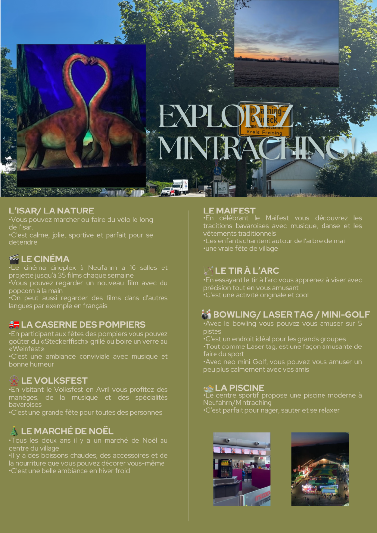Schüleraustausch-Projekt Flyer3
