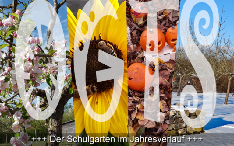 Der Schulgarten im Jahresverlauf: