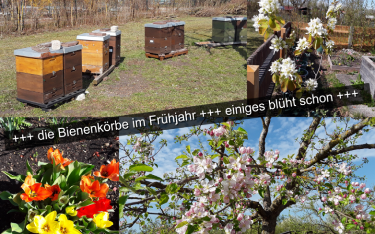 Der Schulgarten im Jahresverlauf: