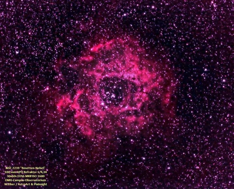 Deep Sky Objekt des Monats:  NGC 2239  (“Rosetten-Nebel“):