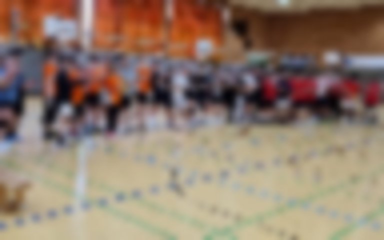 Volleyball-Oberstufenturnier Bilder